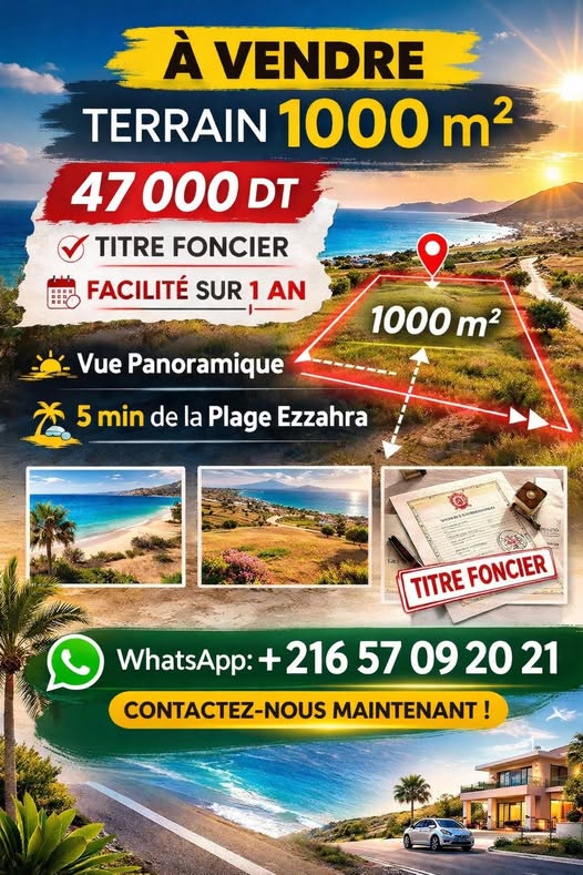 Kelibia&nbsp;Azmour&nbsp;Terrain&nbsp;Terrain agricole&nbsp;Terrain 1000m