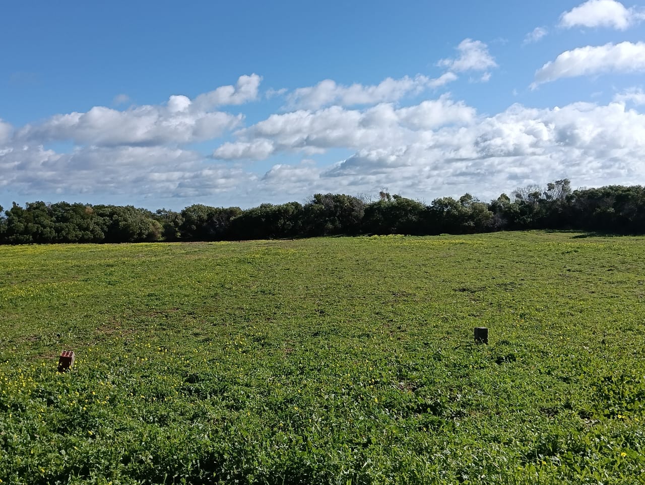 Kelibia&nbsp;Kerkouane&nbsp;Terrain&nbsp;Terrain nu&nbsp;Terrain vue de mer