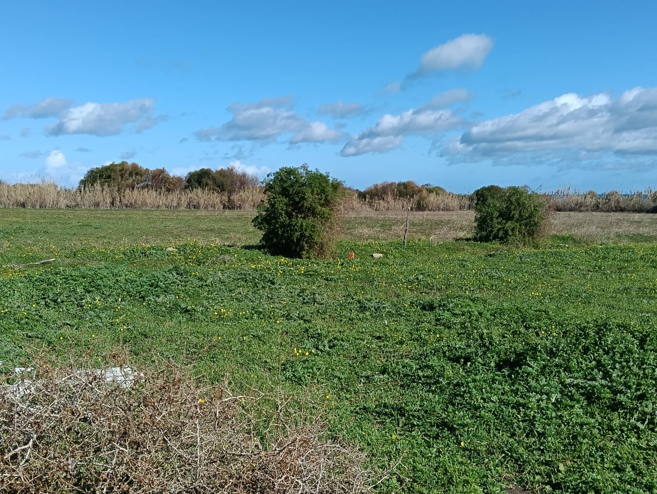 Kelibia&nbsp;Kerkouane&nbsp;Terrain&nbsp;Terrain nu&nbsp;Terrain chat  vue mer