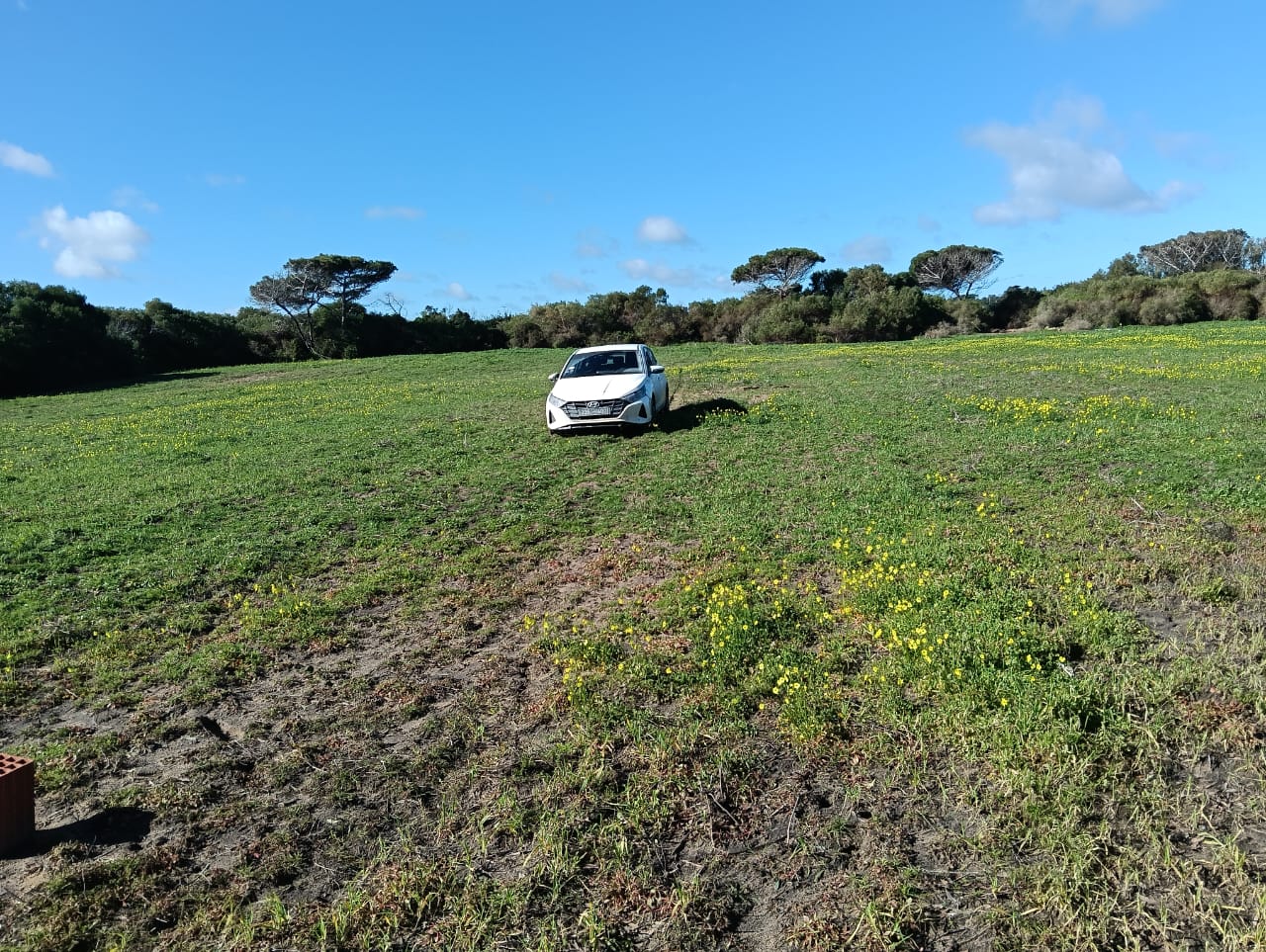 Kelibia&nbsp;Kerkouane&nbsp;Terrain&nbsp;Terrain nu&nbsp;Terrain chat  vue mer