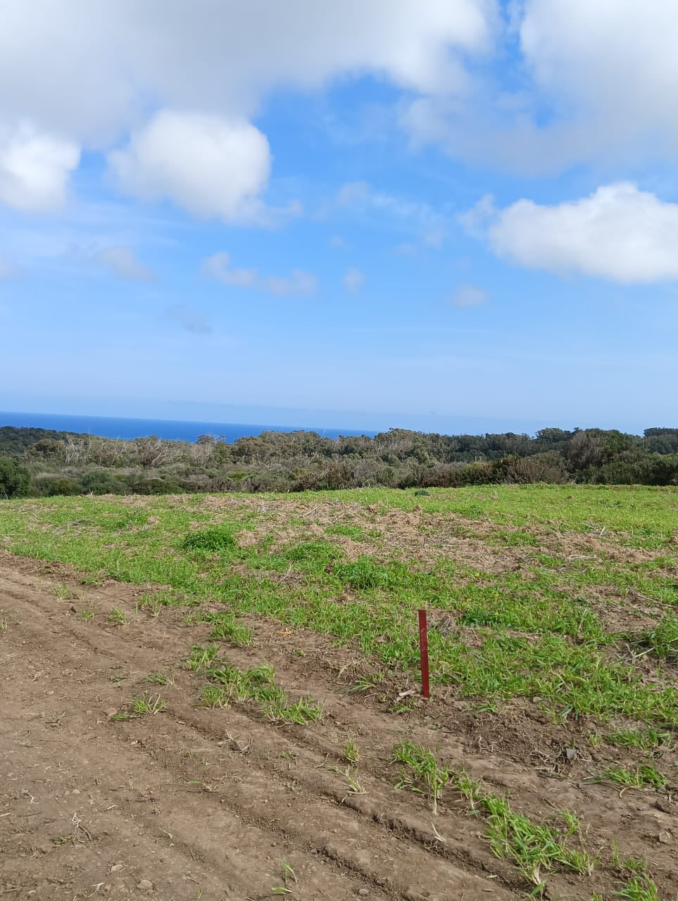 Kelibia&nbsp;Kelibia&nbsp;Terrain&nbsp;Terrain nu&nbsp;Offre limit� a 1000m