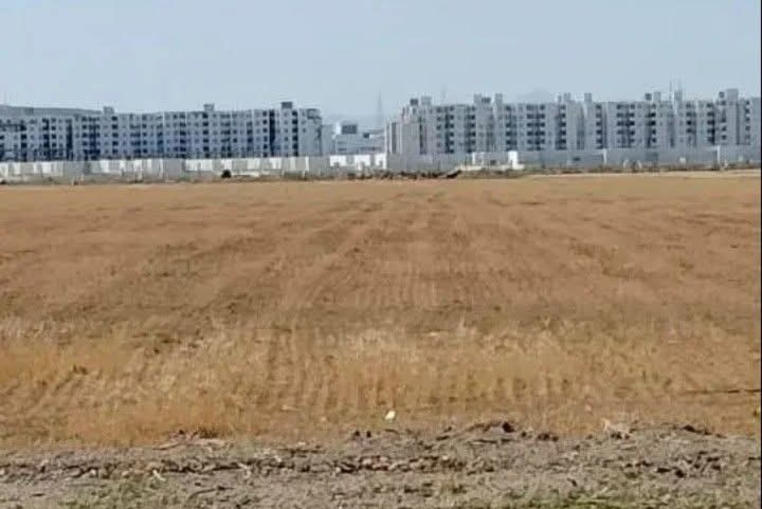 Mannouba&nbsp;La Mannouba&nbsp;Terrain&nbsp;Terrain nu&nbsp;Terrain habitat unique