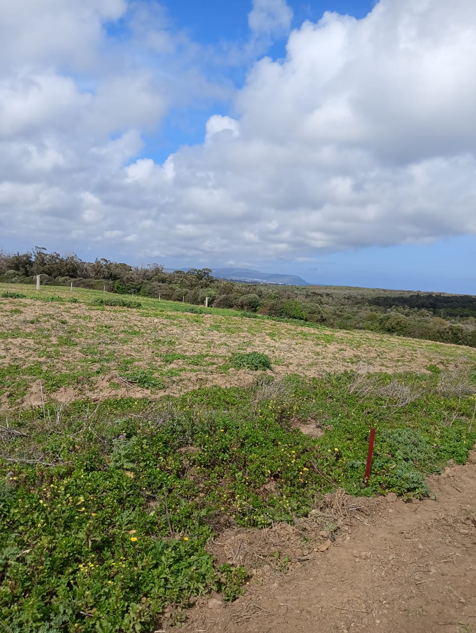 Kelibia&nbsp;Kelibia&nbsp;Vente&nbsp;Autre&nbsp;Terrain panoramique entre k�libia