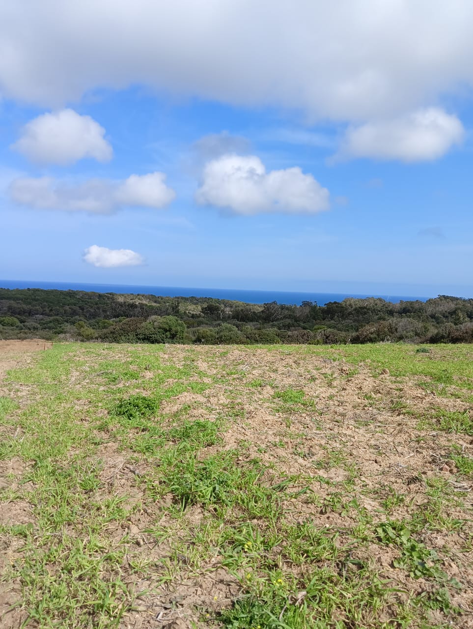 Kelibia&nbsp;Kelibia&nbsp;Vente&nbsp;Autre&nbsp;Construisez votre villa de r�ve � tamezrat