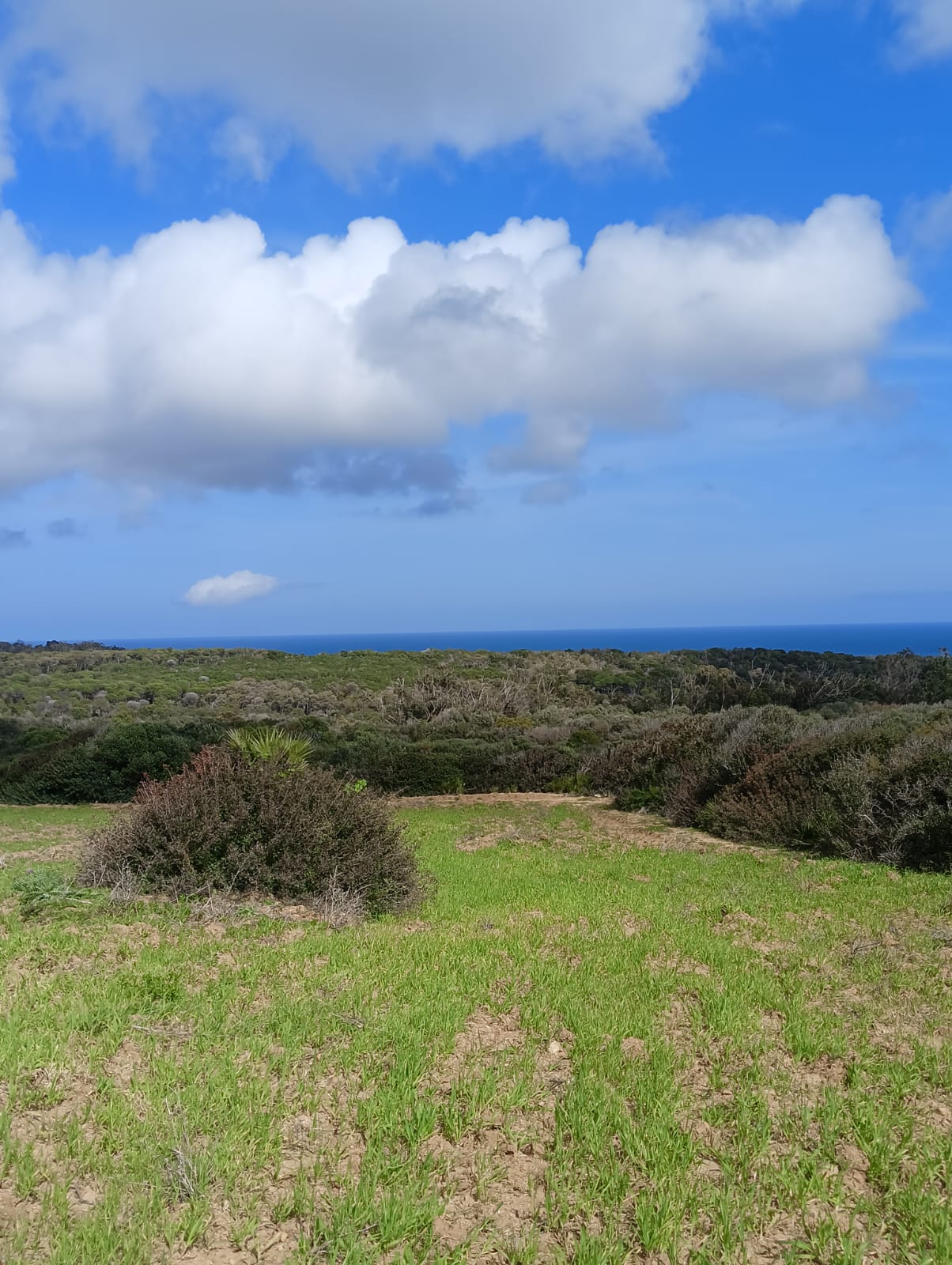 Kelibia&nbsp;Kelibia&nbsp;Vente&nbsp;Autre&nbsp;Affaire � ne pas rater