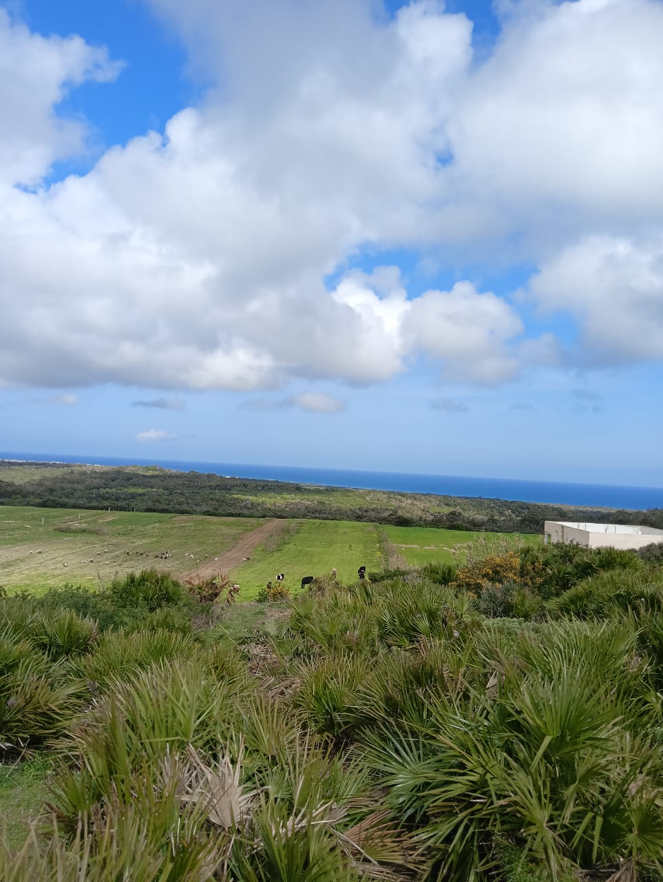 Kelibia&nbsp;Kelibia&nbsp;Vente&nbsp;Autre&nbsp;Terrain tamezrat kelibia