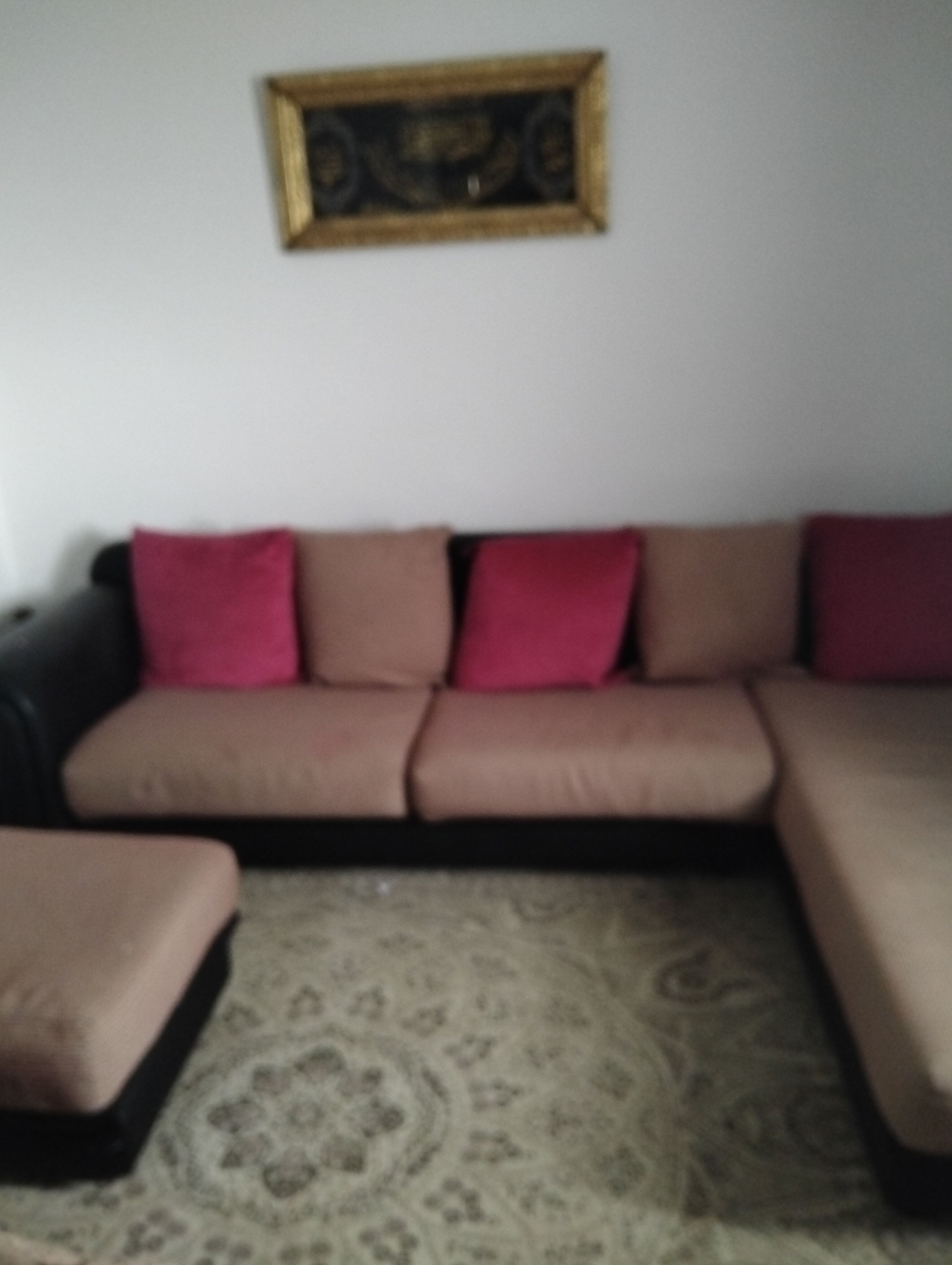 Megrine&nbsp;Megrine Jaouhara&nbsp;Salon - Salle � manger &nbsp;Salons&nbsp;Bonnes affaires