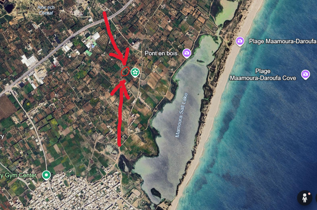 Beni Khiar&nbsp;El Maamoura&nbsp;Terrain&nbsp;Terrain agricole&nbsp;200mm a mamoura