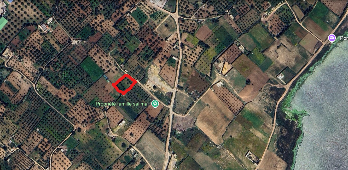 Beni Khiar&nbsp;El Maamoura&nbsp;Terrain&nbsp;Terrain agricole&nbsp;200mm a mamoura