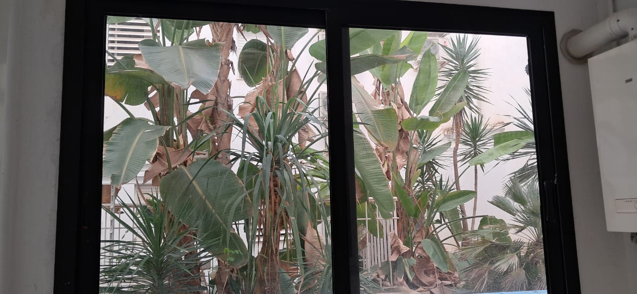 Ariana Ville&nbsp;Cite Ennasr 2&nbsp;Location&nbsp;Appart. 2 pi�ces&nbsp;Superbe s1 haut standing � ennasr 2 avec jardin