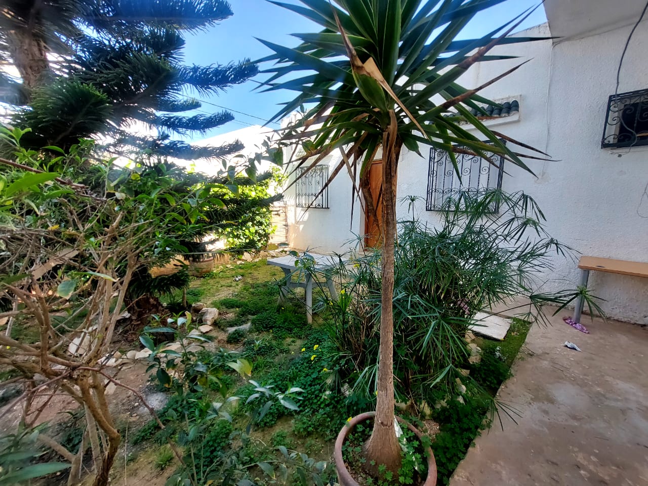 La Marsa&nbsp;Sidi Daoud&nbsp;Location&nbsp;Maisons&nbsp;Studio s1 avec jardin � cite les pins