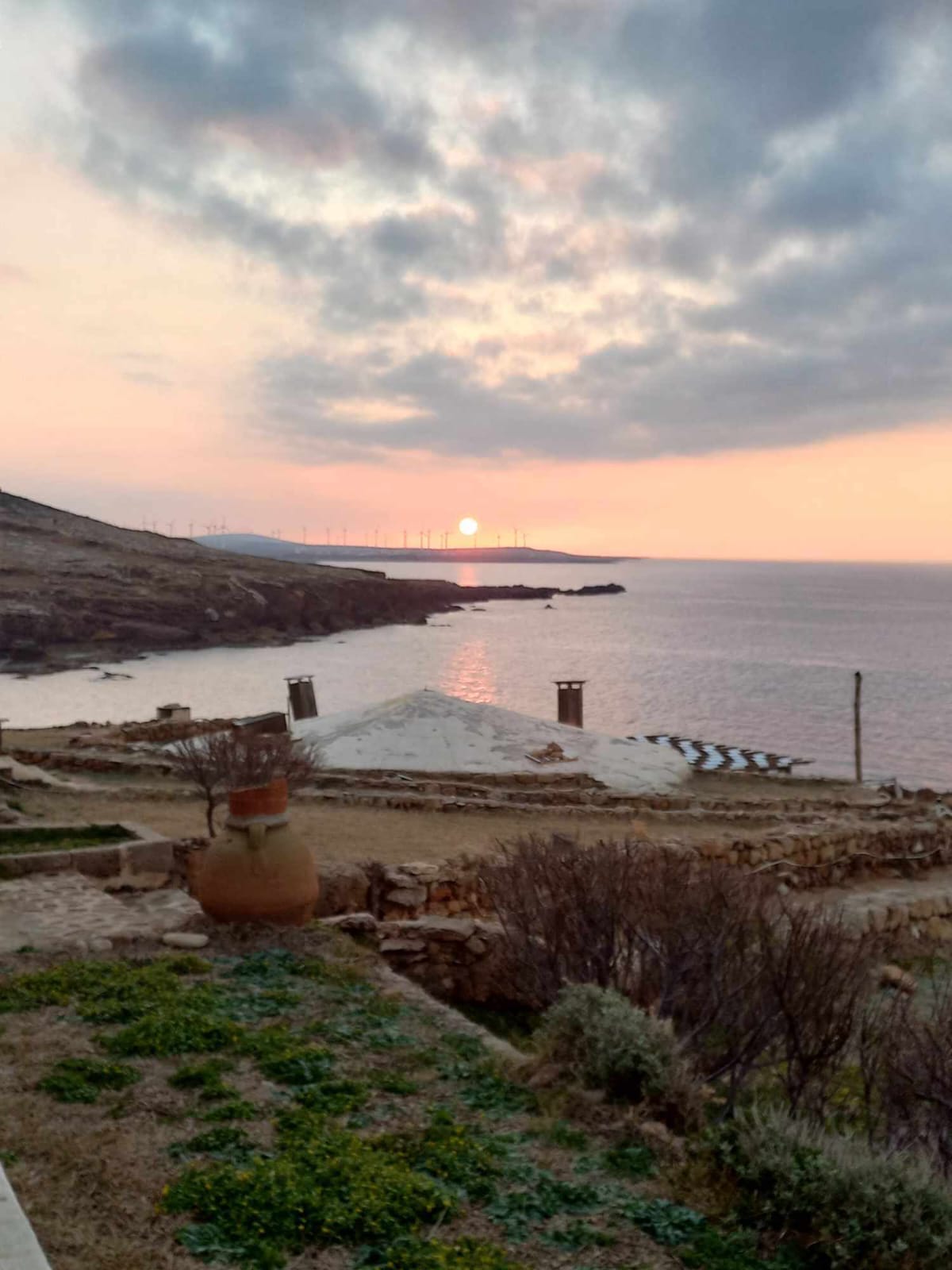 El Haouaria&nbsp;El Haouaria&nbsp;Terrain&nbsp;Terrain nu&nbsp;Terrain aroua vtm078