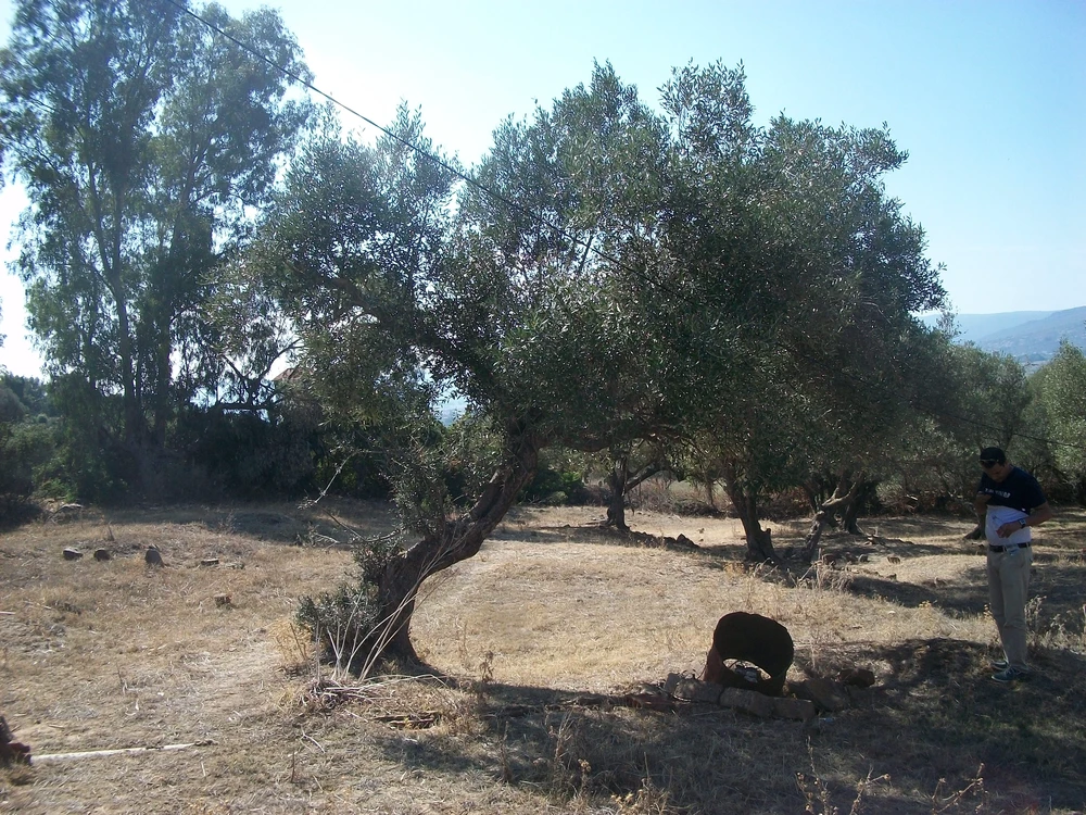 Tabarka&nbsp;Tabarka&nbsp;Terrain&nbsp;Terrain nu&nbsp;Terrain � tabarka