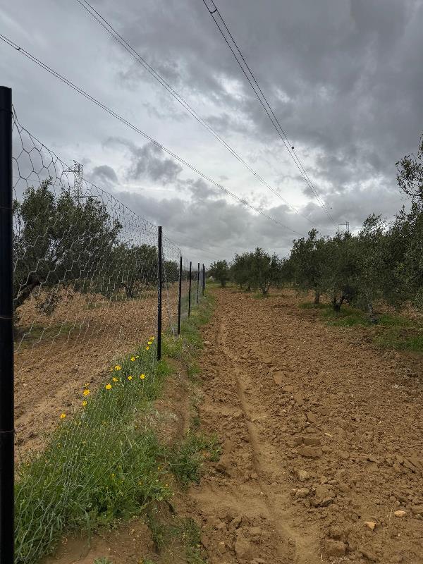 Enfidha&nbsp;Enfidha&nbsp;Vente&nbsp;Autre&nbsp;Ferme zouhour r�f v3029