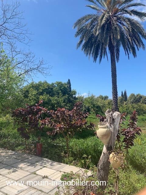 Menzel Bouzelfa&nbsp;Menzel Bouzelfa&nbsp;Terrain&nbsp;Terrain agricole&nbsp;Ferme oliva t1230 nabeul menzel bouzelfa