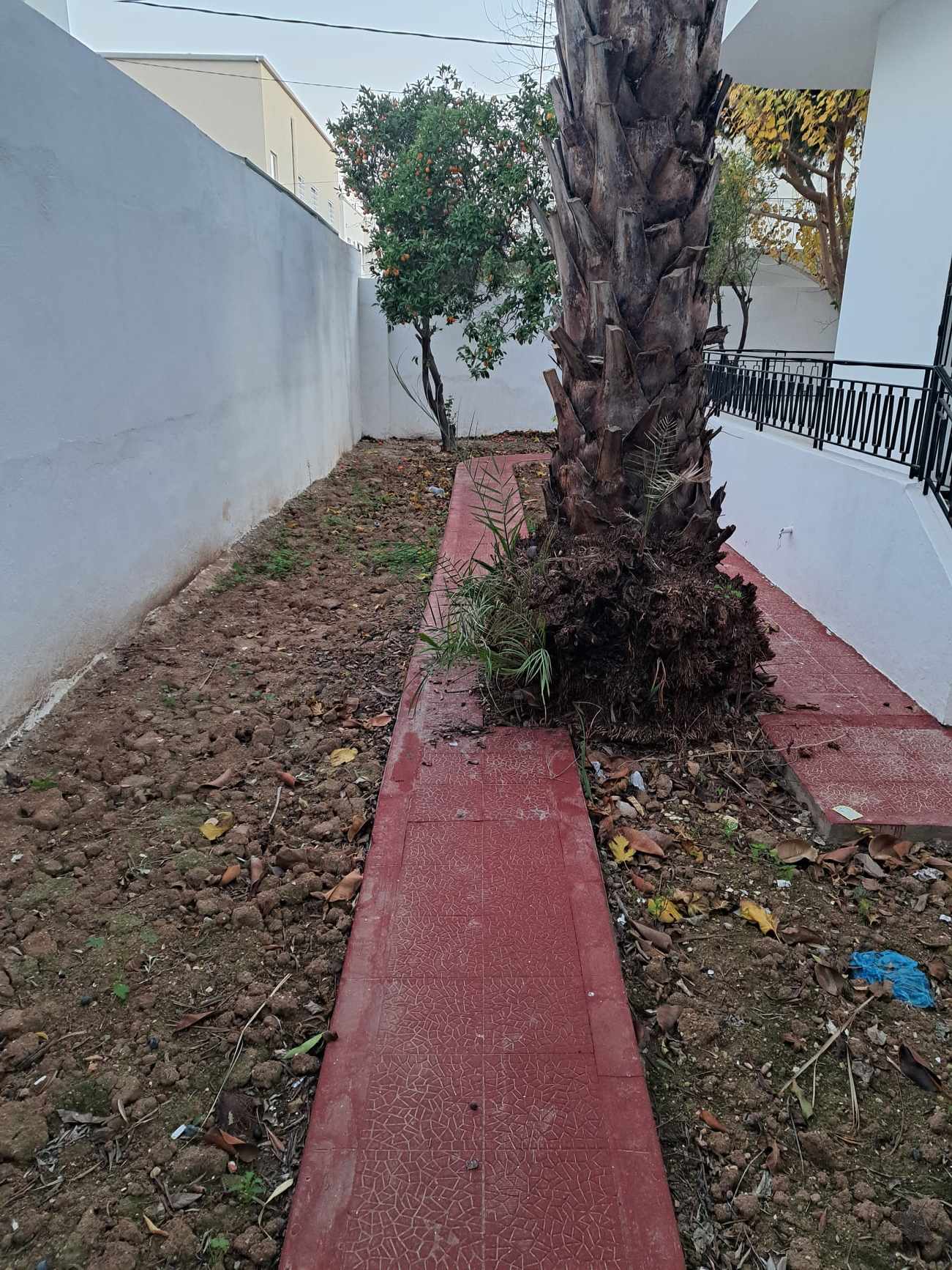 Ariana Ville&nbsp;Nouvelle Ariana&nbsp;Location&nbsp;Maisons&nbsp;Villa style am�ricain � ariana jadida