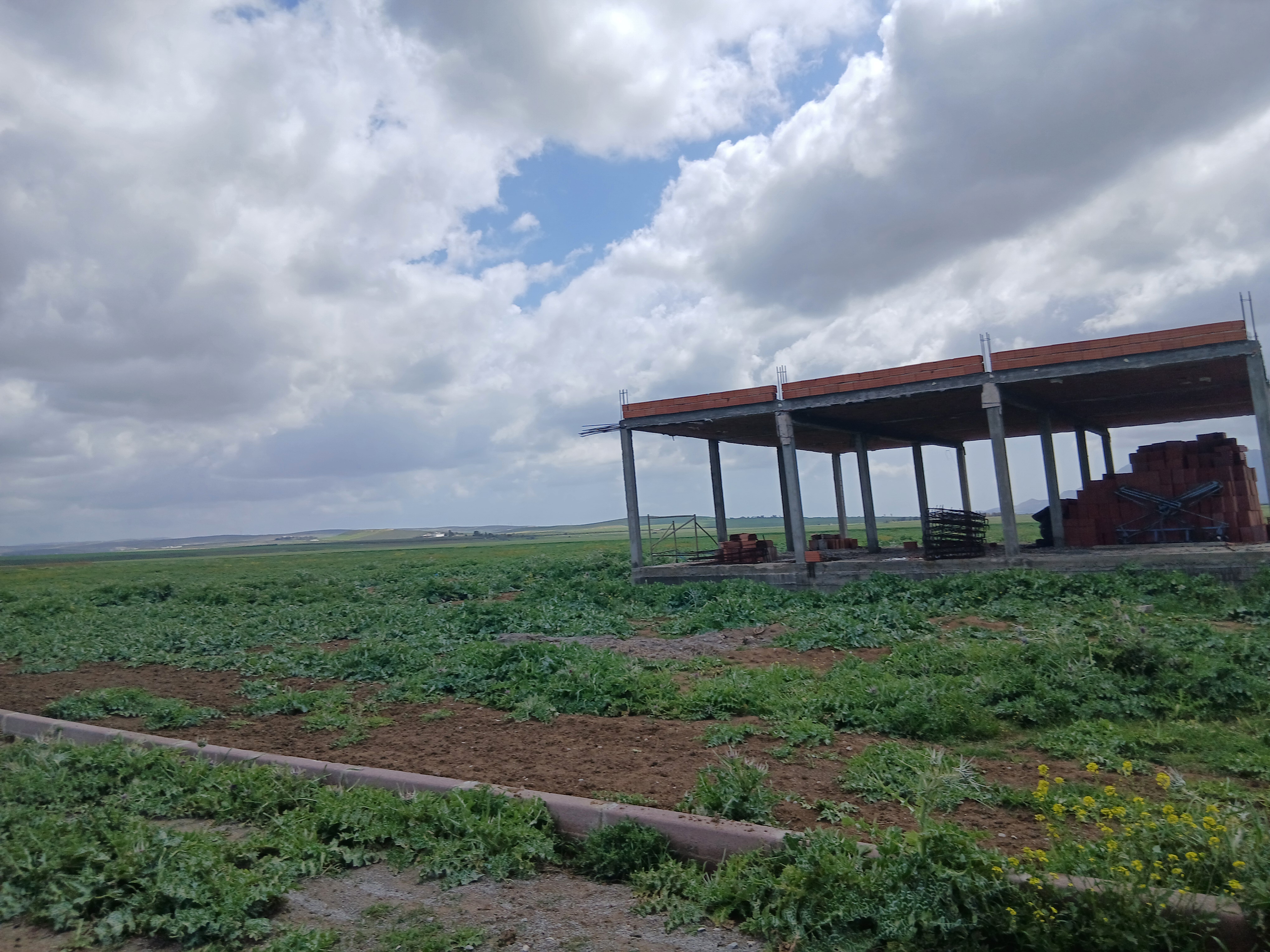 Zaghouan&nbsp;Zaghouan&nbsp;Terrain&nbsp;Terrain agricole&nbsp;Terrain de 33 h sur le barrage de bir mcherga