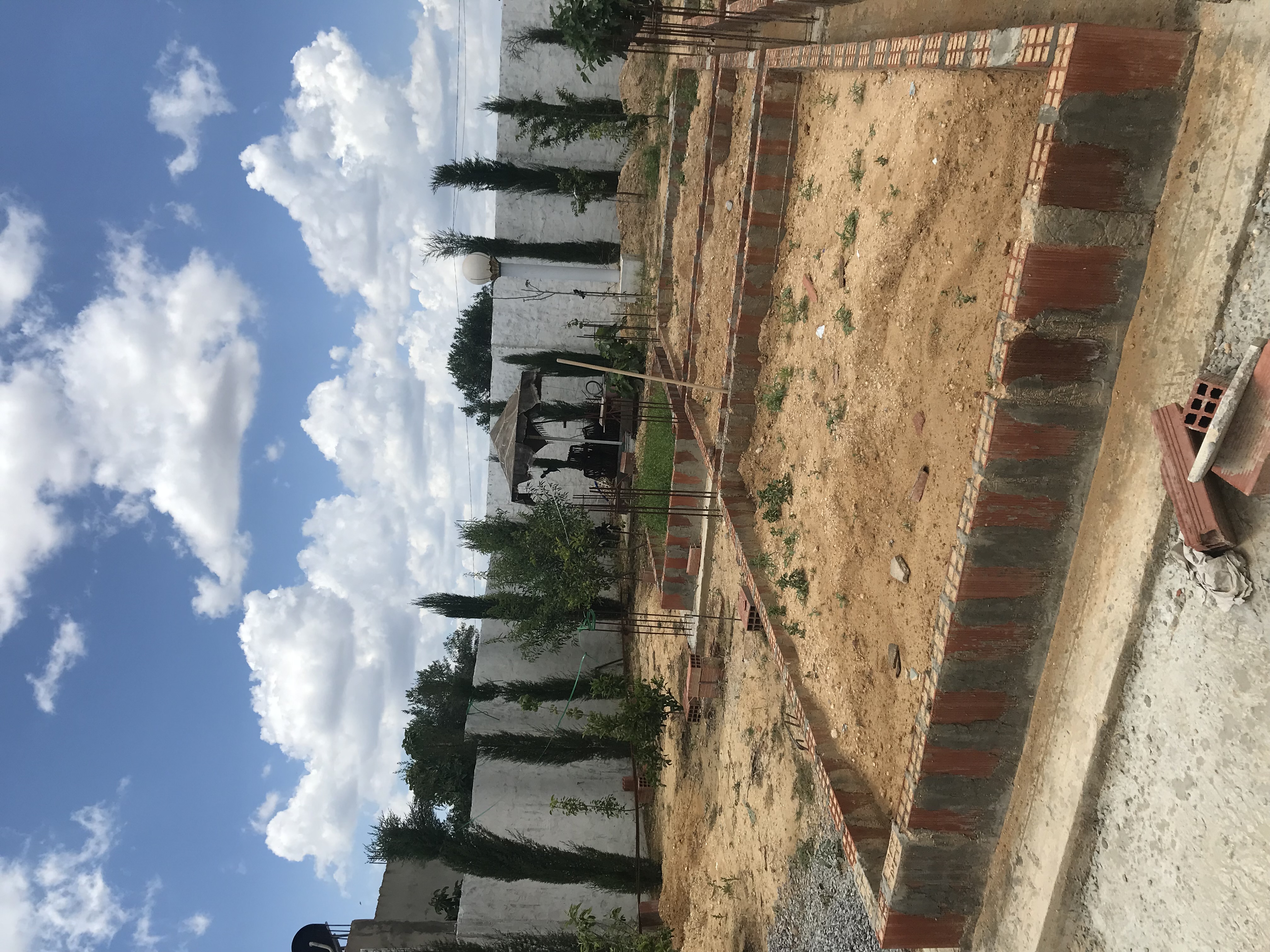 Hammamet&nbsp;Sidi Hmed&nbsp;Vente&nbsp;Surfaces&nbsp;Terrain cl�tur�