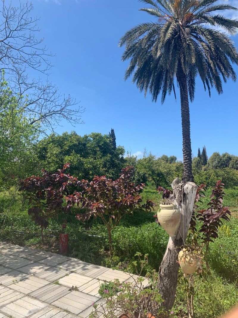 Menzel Bouzelfa&nbsp;Menzel Bouzelfa&nbsp;Vente&nbsp;Maisons&nbsp;V613 maison farida menzel bouzalfa