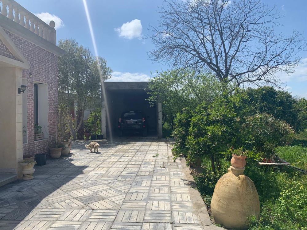 Menzel Bouzelfa&nbsp;Menzel Bouzelfa&nbsp;Vente&nbsp;Maisons&nbsp;V613 maison farida menzel bouzalfa