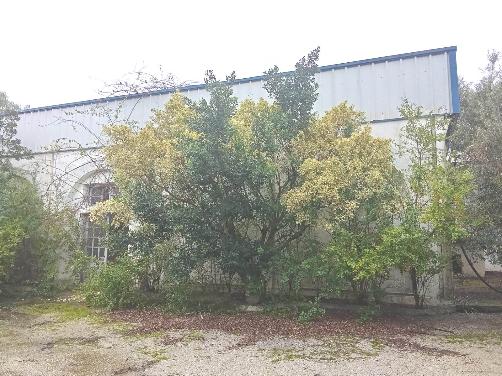 Soliman&nbsp;Soliman&nbsp;Location&nbsp;Autre&nbsp;Depot usine � slimen zone industrielle