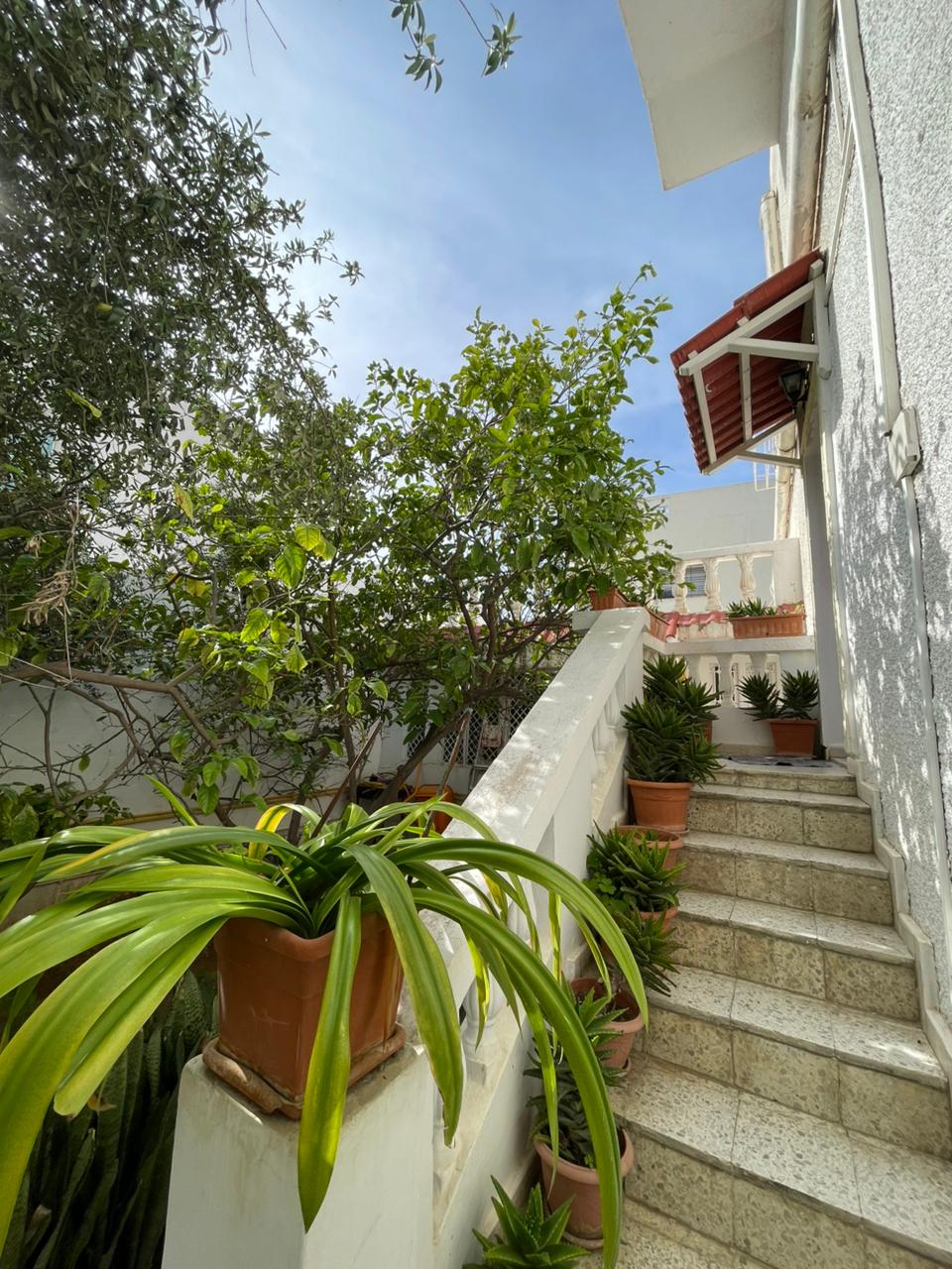 Ariana Ville&nbsp;Borj El Baccouche&nbsp;Vente&nbsp;Maisons&nbsp;Villa � borch el baccouche