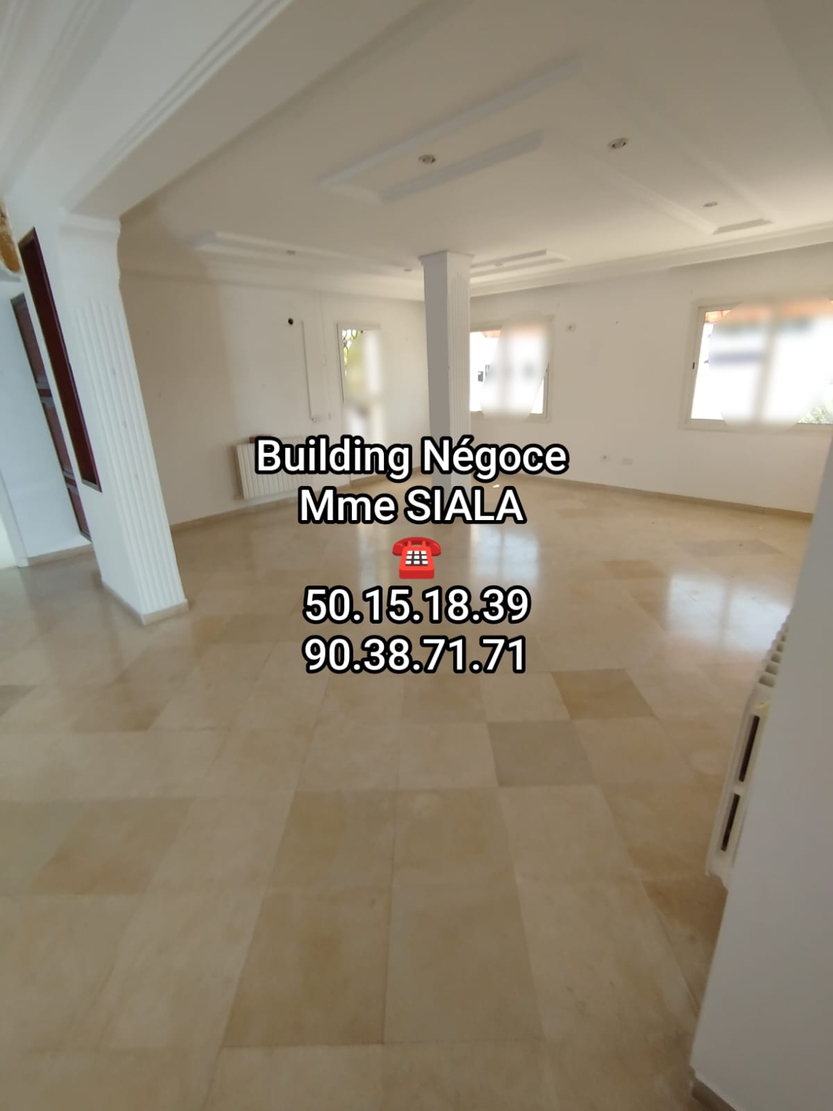 Ariana Ville&nbsp;Cite Ennasr 2&nbsp;Location&nbsp;Maisons&nbsp;Ennasr 2 joli �tage villa s4 cot� ren� descartes