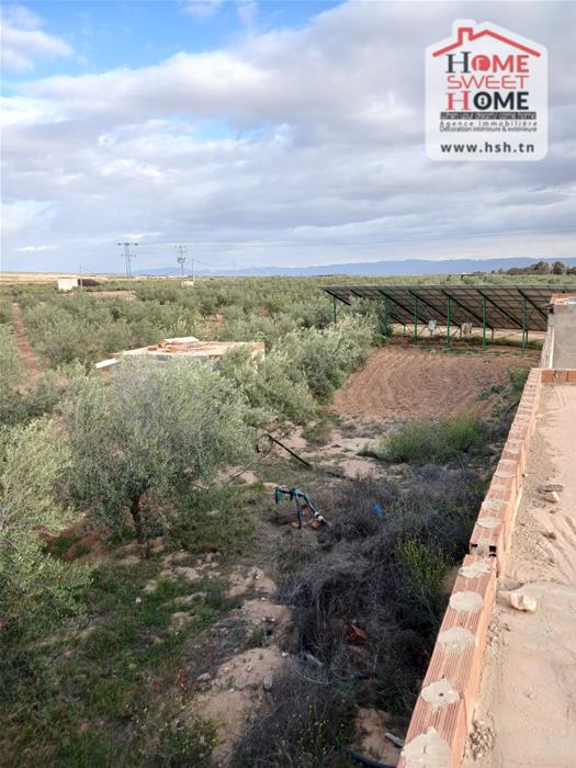 Sidi Aich&nbsp;Sidi Aich&nbsp;Terrain&nbsp;Terrain agricole&nbsp;Terrain agricole zaytina � sidi aich gafsa