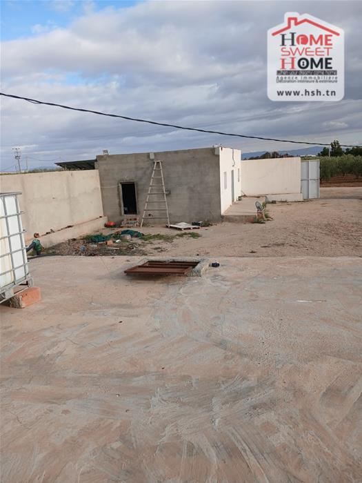 Sidi Aich&nbsp;Sidi Aich&nbsp;Terrain&nbsp;Terrain agricole&nbsp;Terrain agricole zaytina � sidi aich gafsa