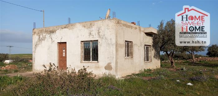 Mejez El Bab&nbsp;Mejez El Bab&nbsp;Terrain&nbsp;Terrain agricole&nbsp;Terrain agricole plania � mjez el beb