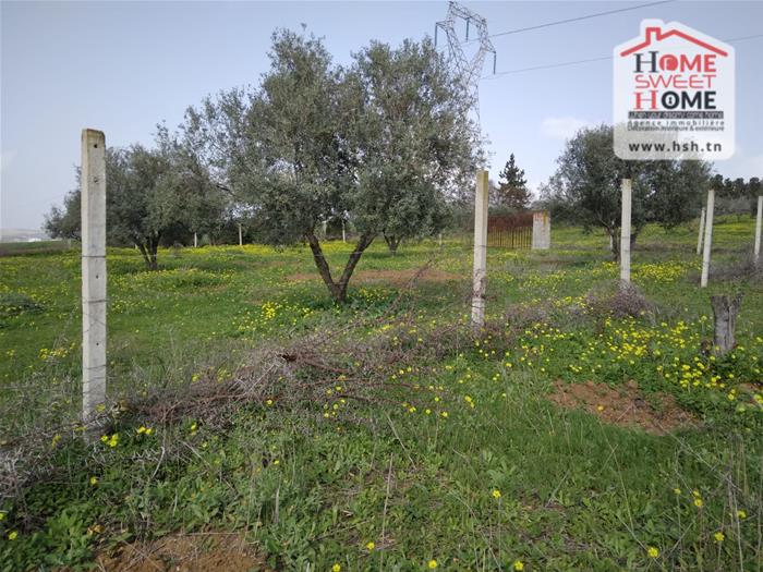 Mornaguia&nbsp;Mornaguia&nbsp;Terrain&nbsp;Terrain nu&nbsp;Terrain villa viroa � mornaguia