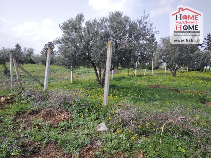 Mornaguia&nbsp;Mornaguia&nbsp;Terrain&nbsp;Terrain nu&nbsp;Terrain villa viroa � mornaguia