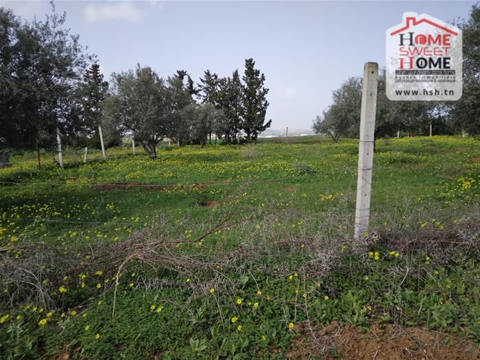 Mornaguia&nbsp;Mornaguia&nbsp;Terrain&nbsp;Terrain nu&nbsp;Terrain villa viroa � mornaguia