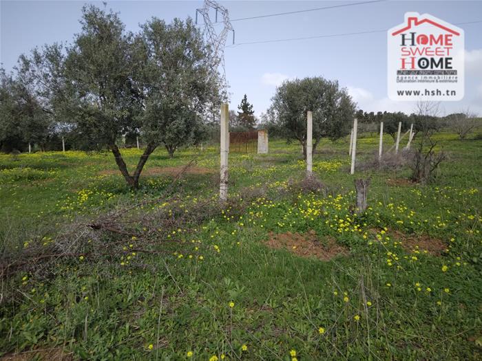 Mornaguia&nbsp;Mornaguia&nbsp;Terrain&nbsp;Terrain nu&nbsp;Terrain villa viroa � mornaguia