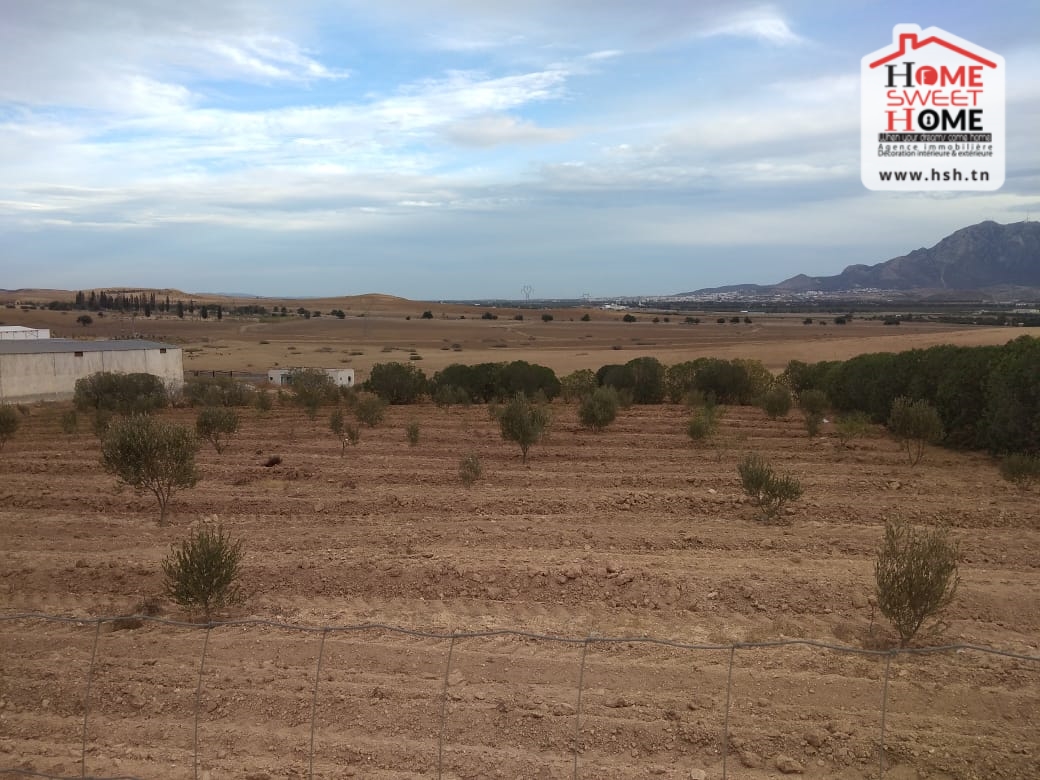 Zaghouan&nbsp;Zaghouan&nbsp;Terrain&nbsp;Terrain agricole&nbsp;Terrain agricole z�lande � zaghouan