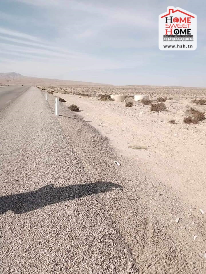 Gafsa Nord&nbsp;Echabiba&nbsp;Terrain&nbsp;Terrain agricole&nbsp;Terrain agricole pistachio � gafsa