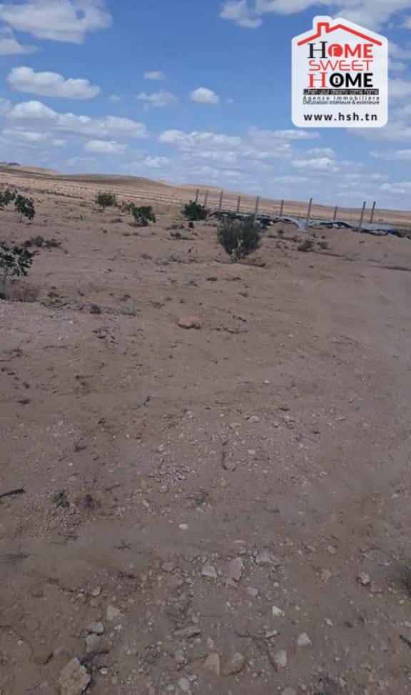 Gafsa Nord&nbsp;Echabiba&nbsp;Terrain&nbsp;Terrain agricole&nbsp;Terrain agricole louza � el fajja gafsa