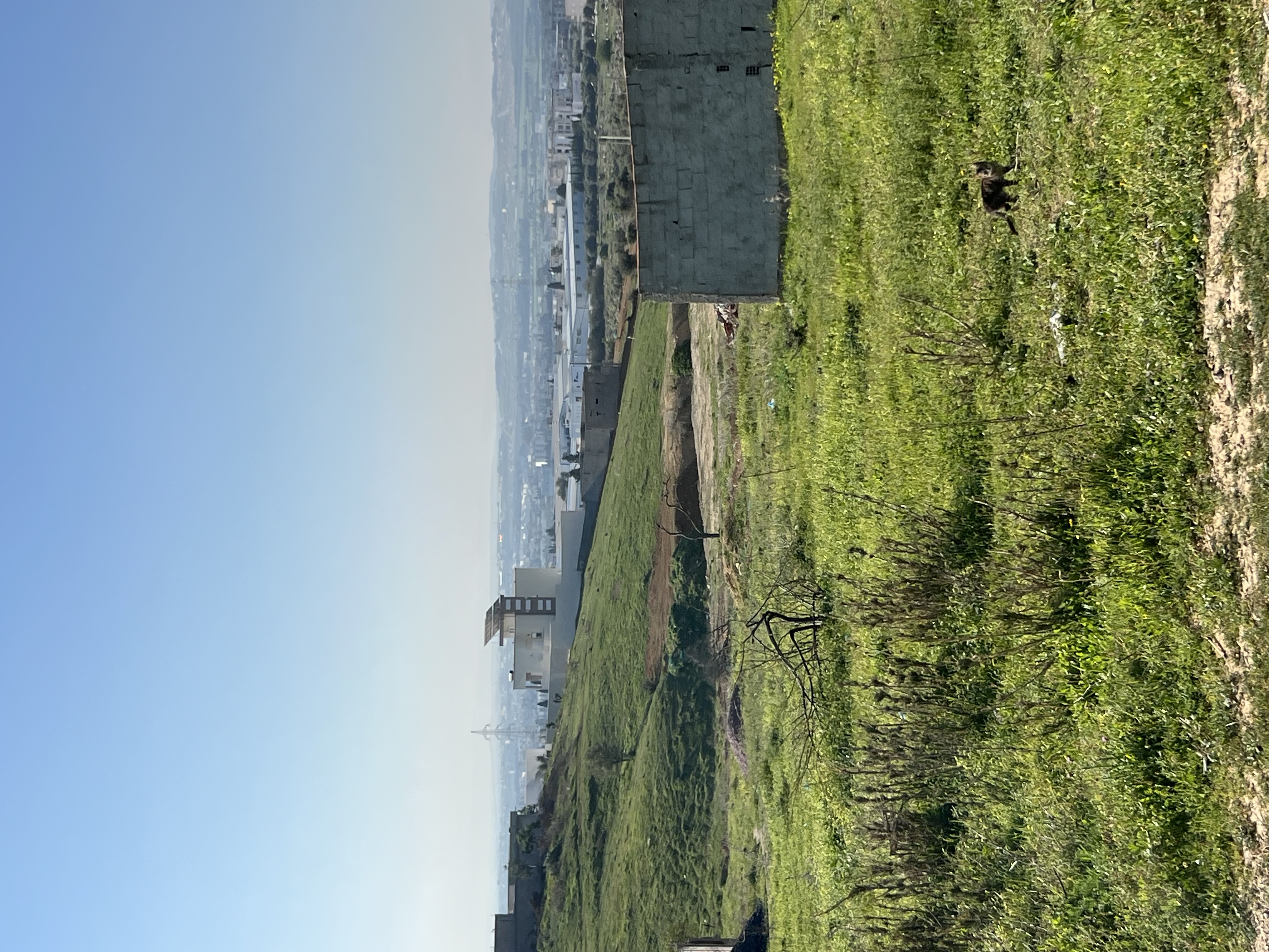 Oued Ellil&nbsp;Oued Ellil&nbsp;Terrain&nbsp;Terrain nu&nbsp;Lots de terrain oued ellil