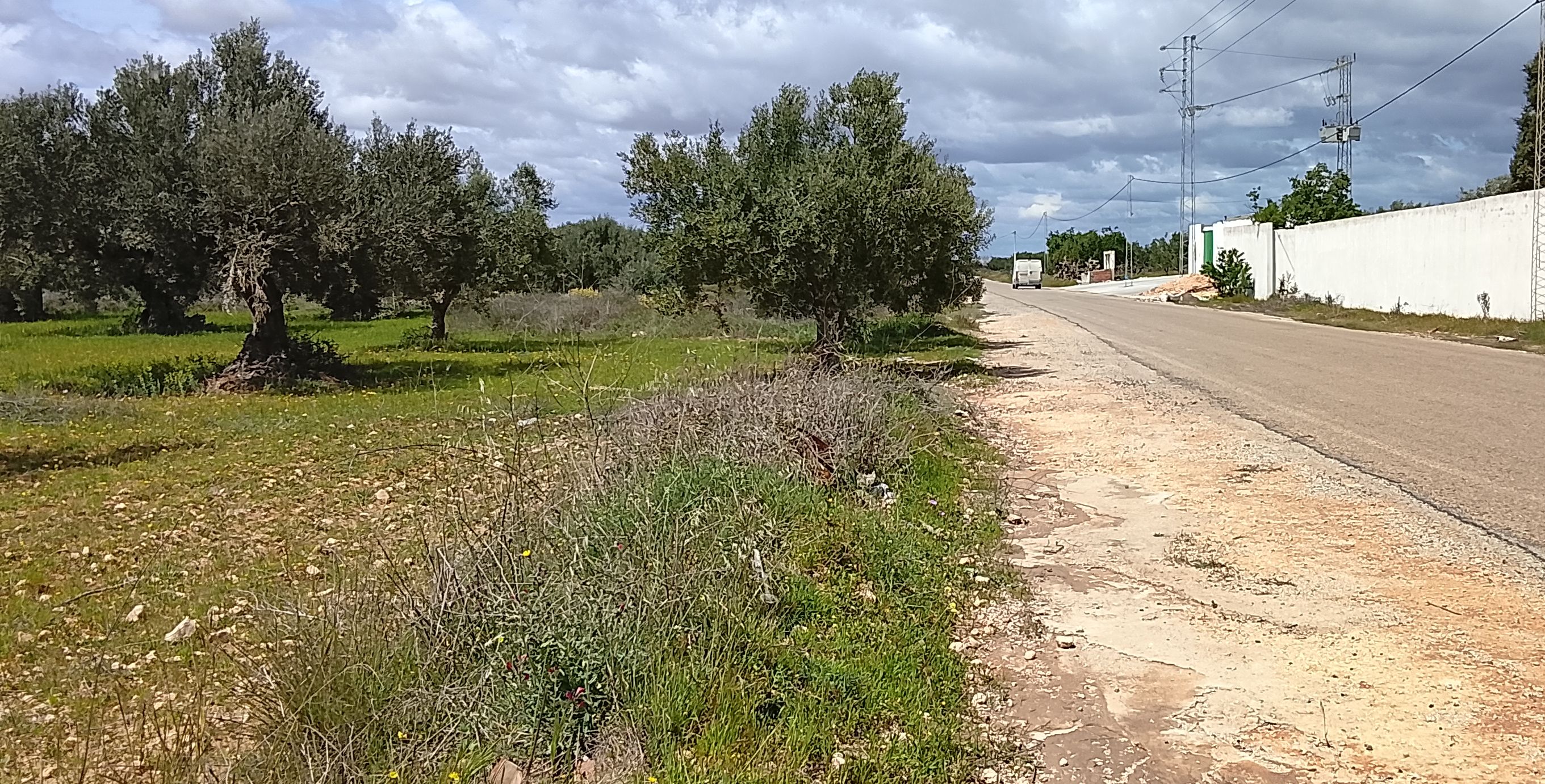 Ouerdanine&nbsp;Ouerdanine&nbsp;Terrain&nbsp;Terrain agricole&nbsp;Super terrain