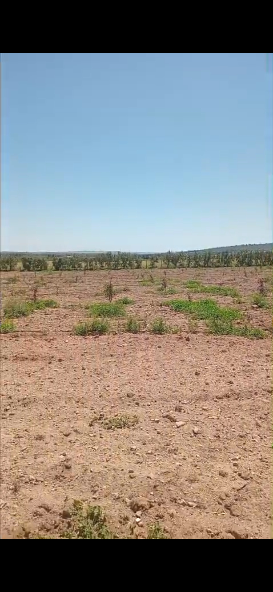 Borj El Amri&nbsp;Borj El Amri&nbsp;Terrain&nbsp;Terrain agricole&nbsp;Terrain agricole � borj el amri avec sondage