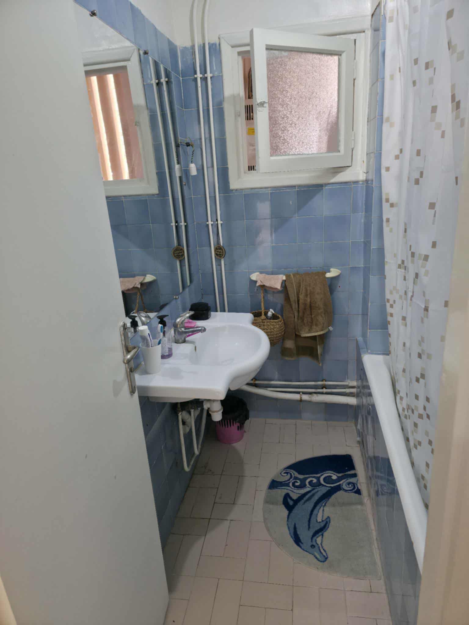 Ariana Ville&nbsp;El Menzah 7&nbsp;Vente&nbsp;Appart. 3 pi�ces&nbsp;Un coquet appartement s2 � menzah7