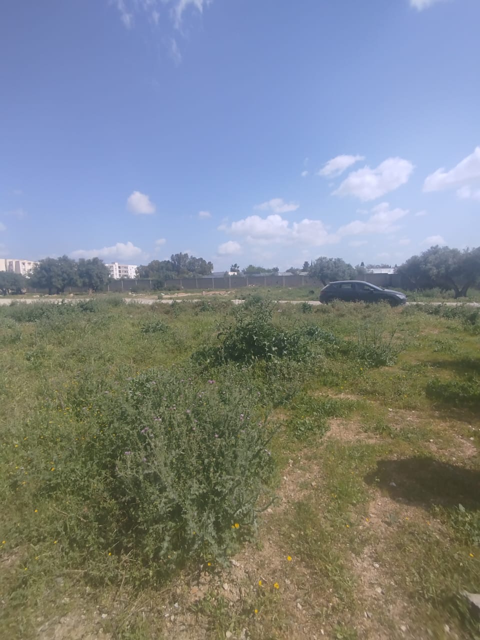 Mannouba&nbsp;La Mannouba&nbsp;Vente&nbsp;Surfaces&nbsp;Un lot de terrain de 460m2 � mannouba