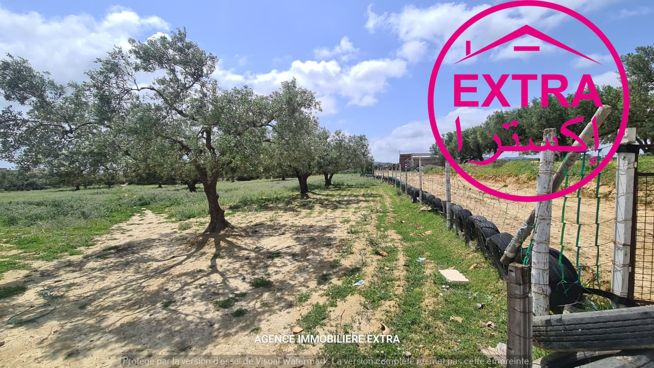 Nabeul&nbsp;Nabeul&nbsp;Terrain&nbsp;Terrain agricole&nbsp;Campagne a nabeul