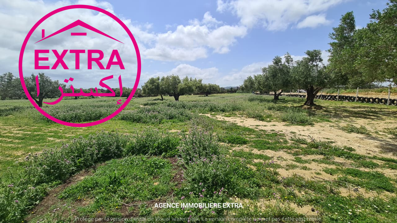 Nabeul&nbsp;Nabeul&nbsp;Terrain&nbsp;Terrain agricole&nbsp;Campagne a nabeul