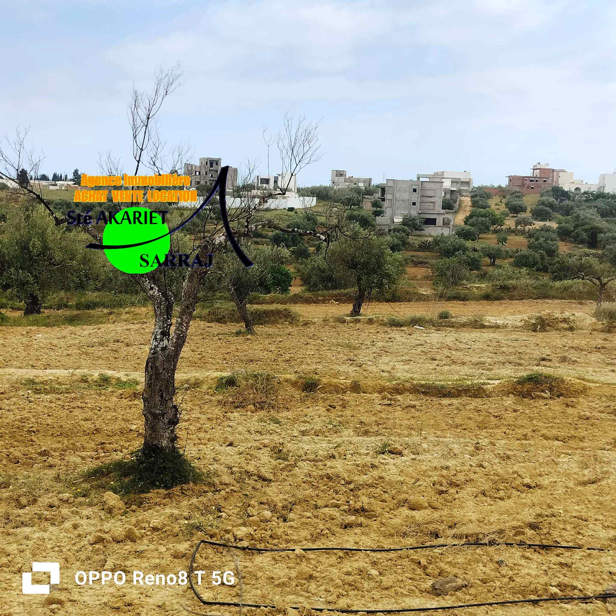 Akouda&nbsp;Chatt Meriem&nbsp;Terrain&nbsp;Terrain agricole&nbsp;Terrain 12000m pas loin de koussour gharnata