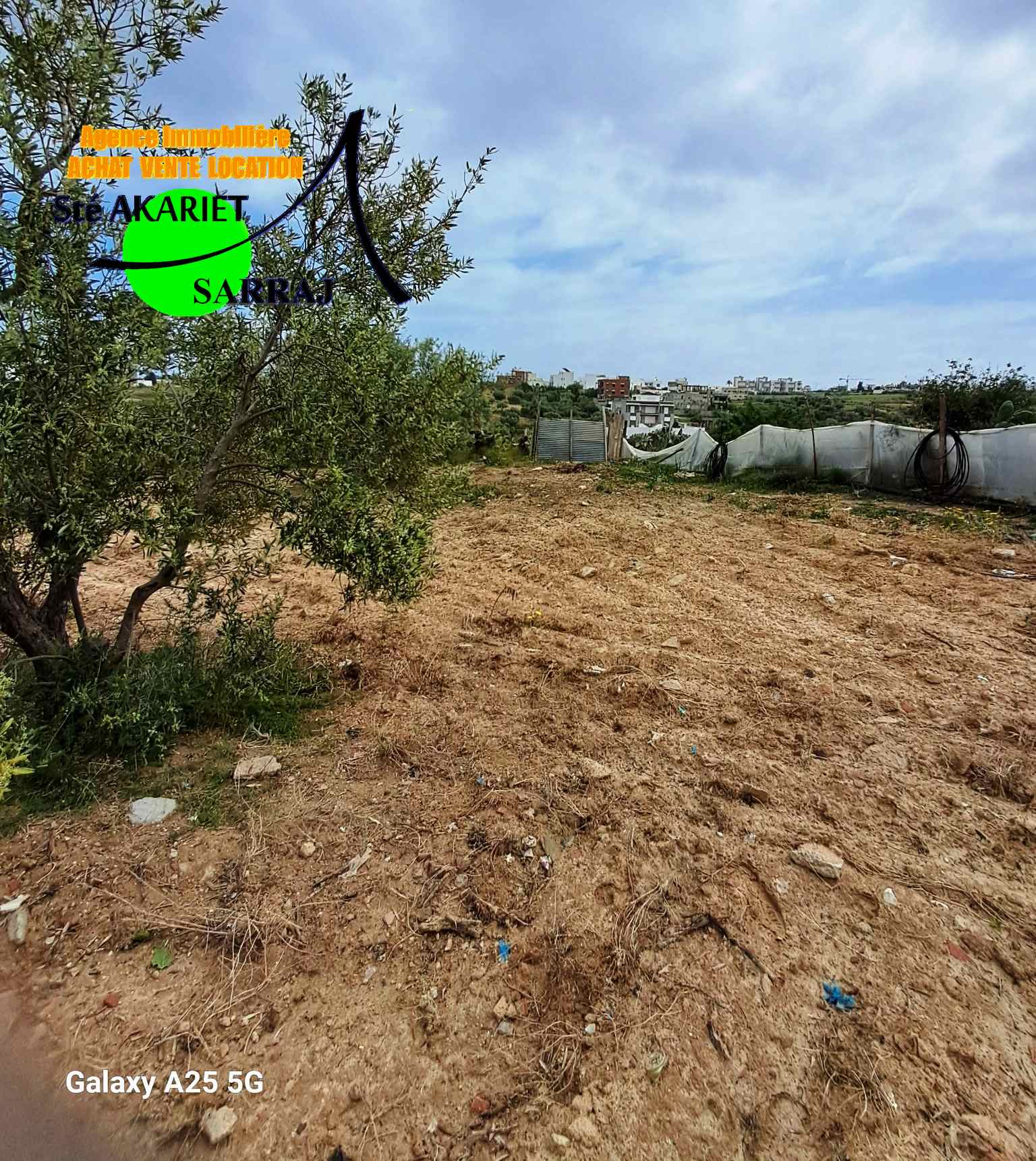 Akouda&nbsp;Chatt Meriem&nbsp;Terrain&nbsp;Terrain agricole&nbsp;Terrain 12000m pas loin de koussour gharnata