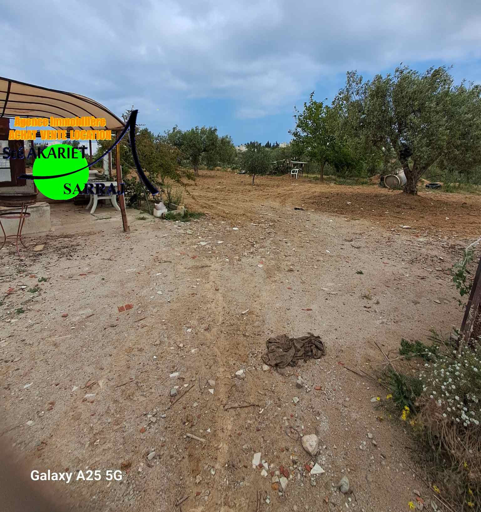 Akouda&nbsp;Chatt Meriem&nbsp;Terrain&nbsp;Terrain agricole&nbsp;Terrain 12000m pas loin de koussour gharnata