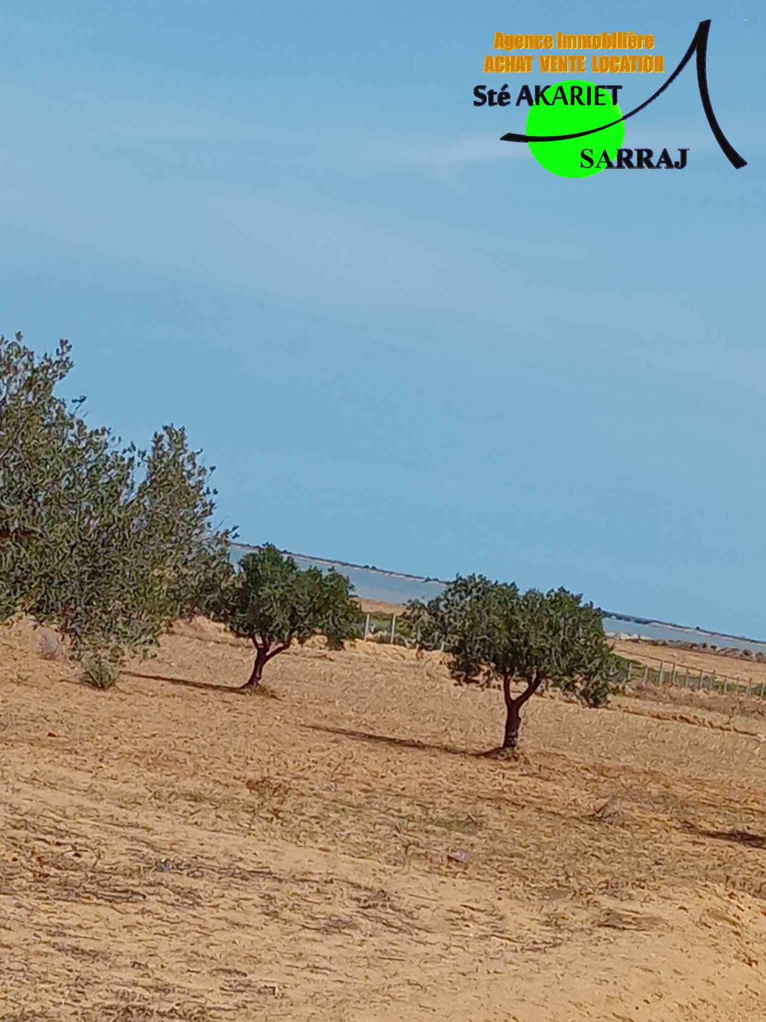 Akouda&nbsp;Chatt Meriem&nbsp;Terrain&nbsp;Terrain agricole&nbsp;Offre � ne pas rater terrain 3066m � fokaia