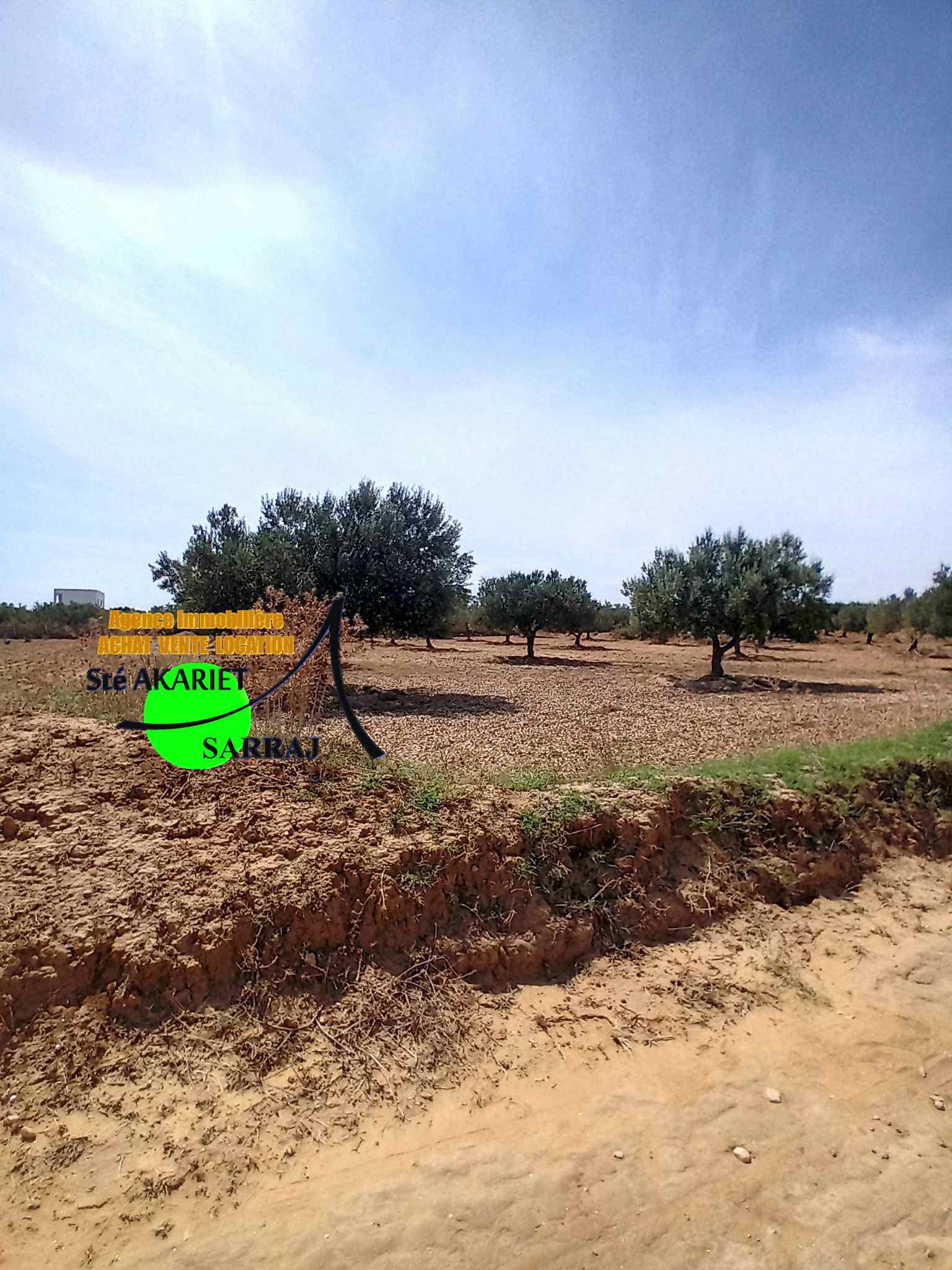Akouda&nbsp;Chatt Meriem&nbsp;Terrain&nbsp;Terrain agricole&nbsp;Offre � ne pas rater terrain 3066m � fokaia