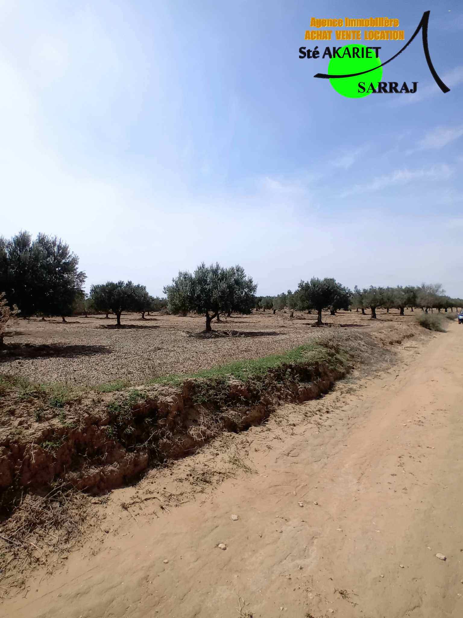 Akouda&nbsp;Chatt Meriem&nbsp;Terrain&nbsp;Terrain agricole&nbsp;Offre � ne pas rater terrain 3066m � fokaia